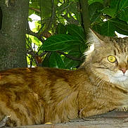 SALLY participe au concours pour gagner de l'argent avec cette photo :