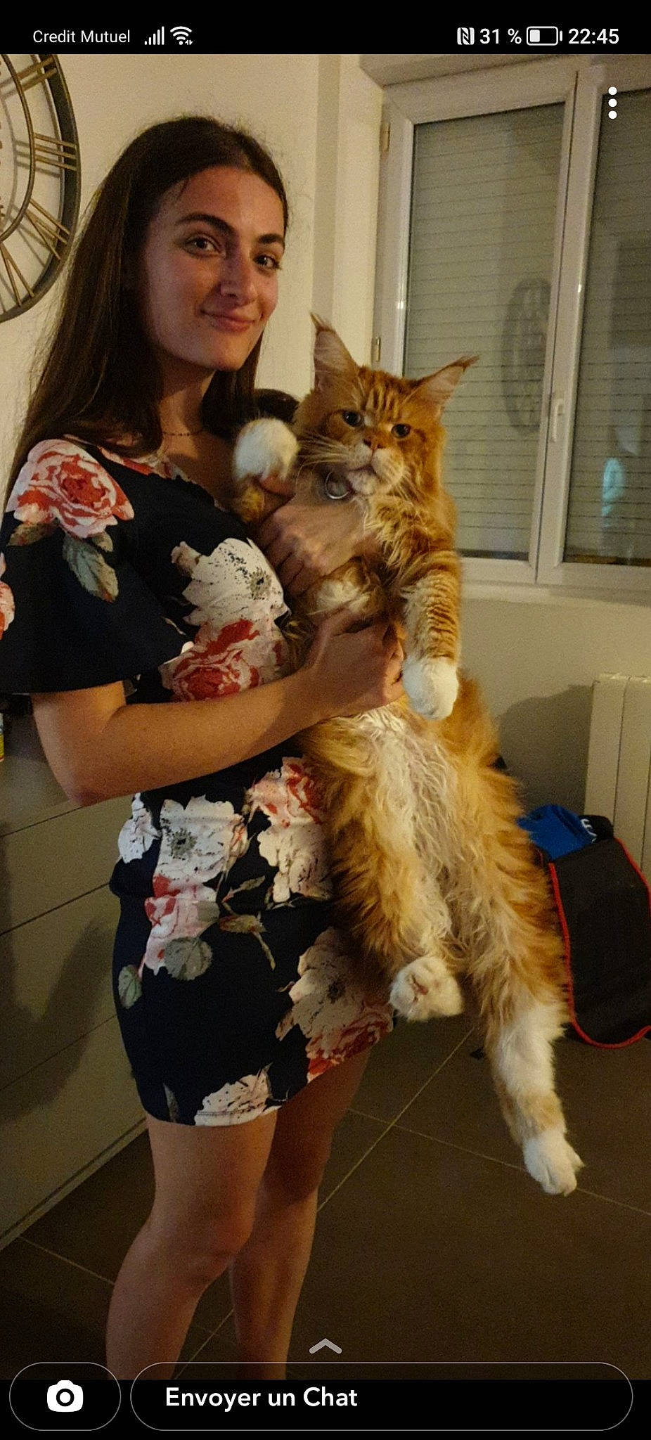 Priam participe au concours pour gagner de l'argent avec cette photo : carnivore, cat, companion_dog, costume, event, fashion_design, fawn, felidae, fun, fur, fur_clothing, human_leg, jewellery, lap, long_hair, small_to_medium_sized_cats, smile, tail, thigh, whiskers