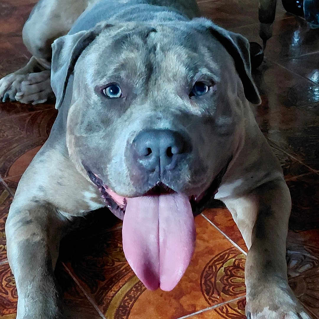 Bouba