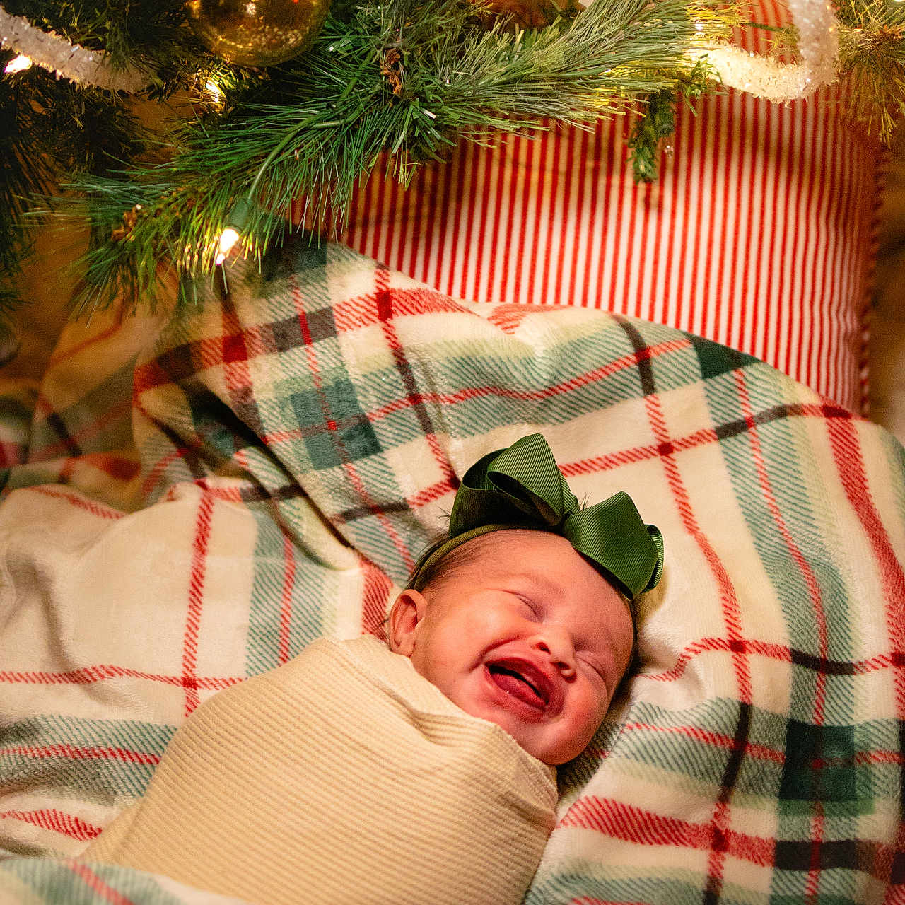 Kaiah is registered to the contest to win money with this photo: baby, blanket, bow, child, christmas_tree, cozy, face, festive, green_bow, happy, holiday, indoors, infant, lights, ornament, pine_needles, plaid, smiling, warm, wrapped