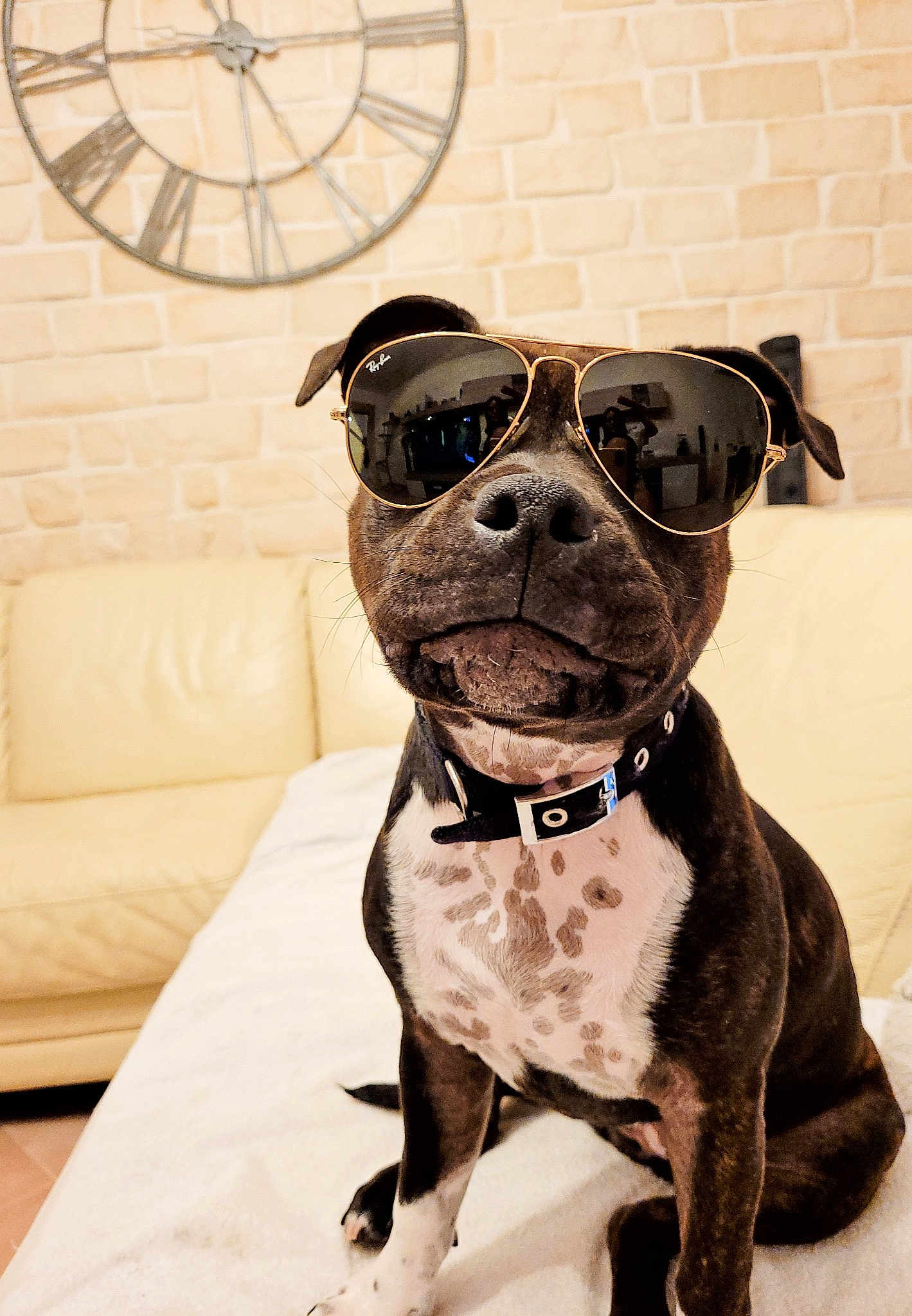Raybann