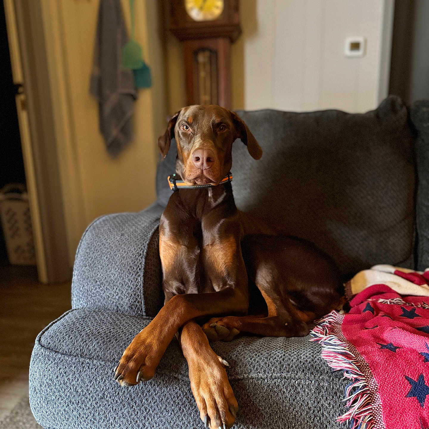 Zeus