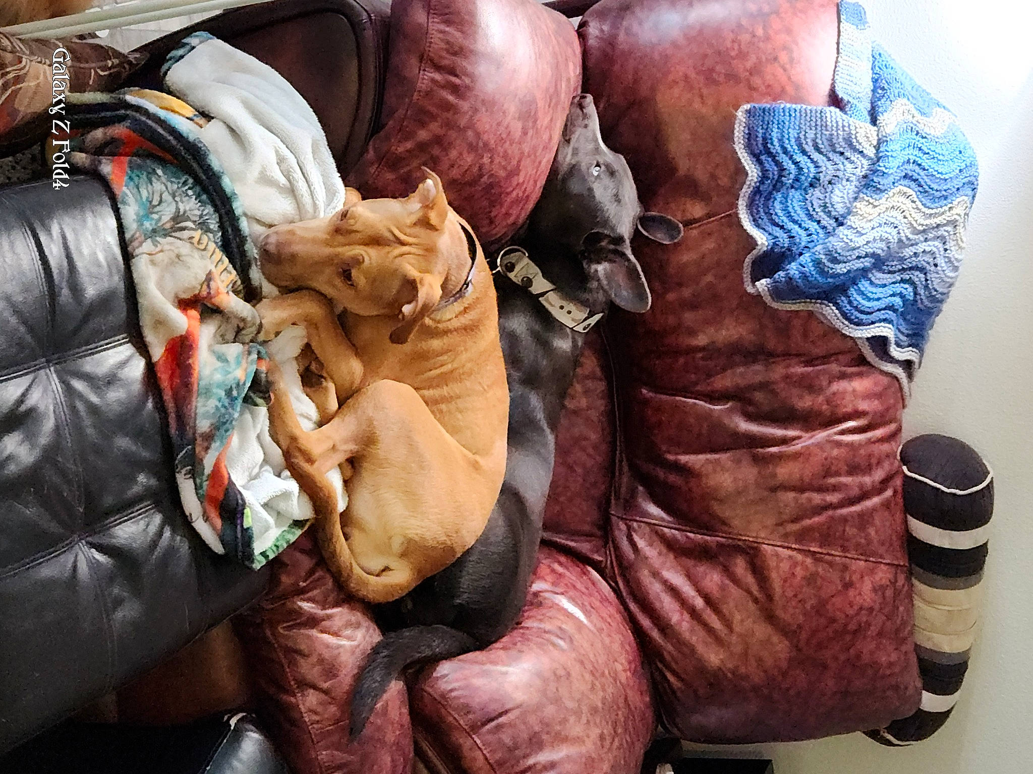 Kitsune Freyja is registered to the contest to win money with this photo: backpack, bag, baggage, carmine, comfort, cool, denim, fashion_accessory, fur, glove, human_leg, leather, linens, luggage_and_bags, outdoor_shoe, personal_protective_equipment, sitting, snow_boot, sportswear, tattoo