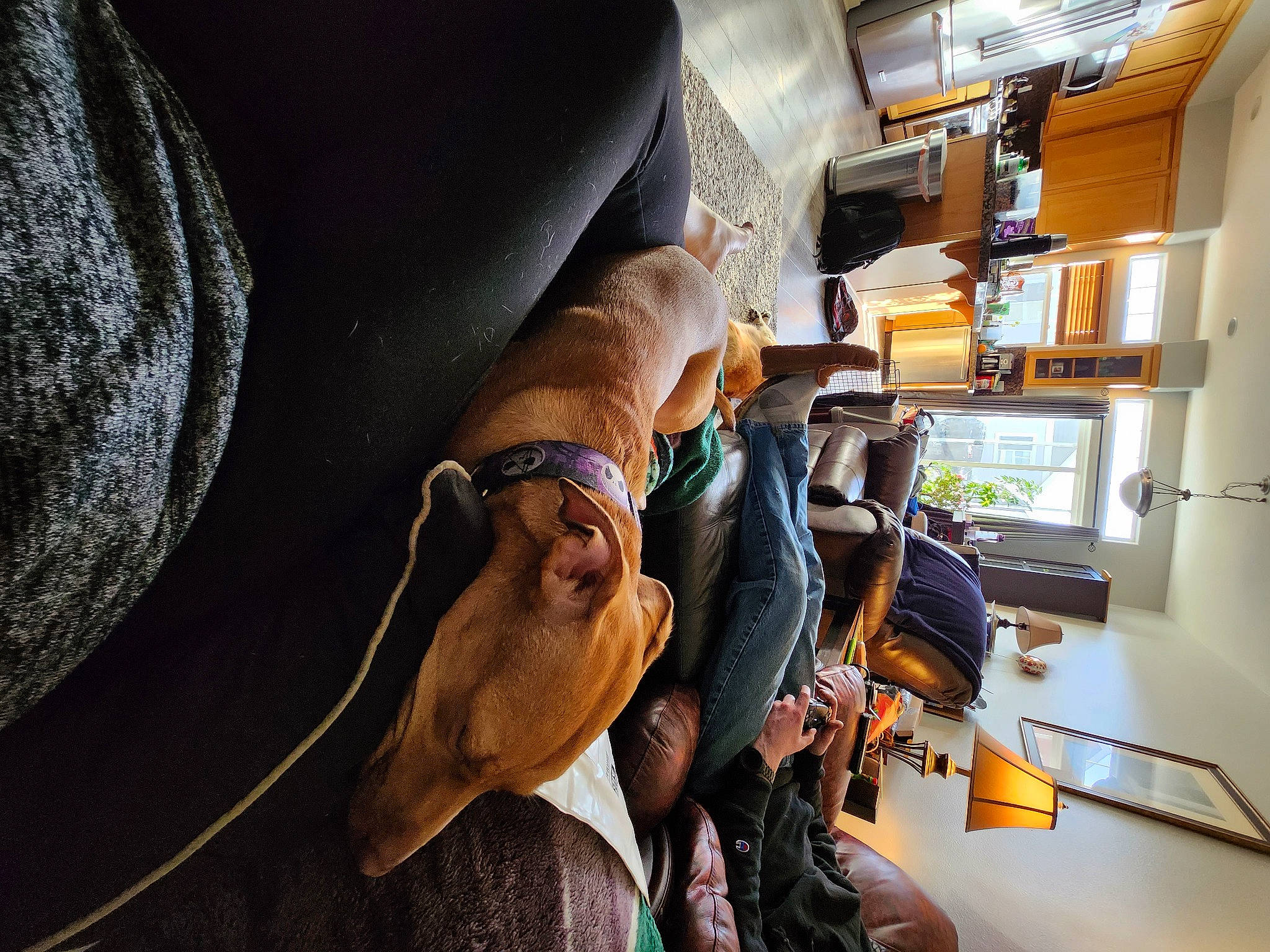 Kitsune joined the competition — help win amazing prizes! audio_equipment, automotive_design, chair, comfort, couch, desk, eyewear, flooring, fun, hat, human_leg, machine, room, shelf, shelving, sitting, sunglasses, t_shirt, table, wood