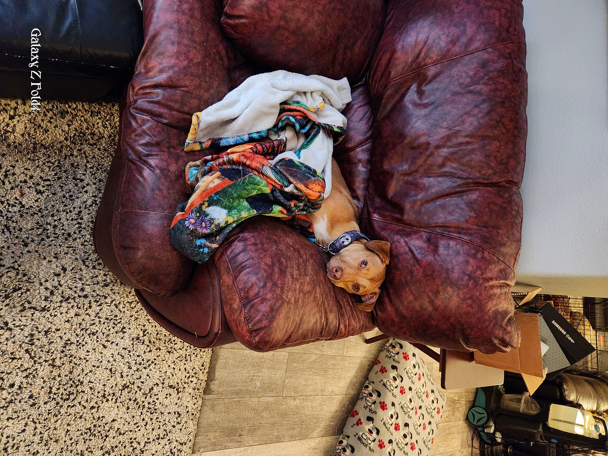 Kitsune is registered to the contest to win money with this photo: bag, comfort, eyewear, fashion_accessory, flesh, foot, hand, human_leg, luggage_and_bags, magenta, nail, pattern, sitting, sunglasses, tattoo, textile, thigh, tree, wood, wrist