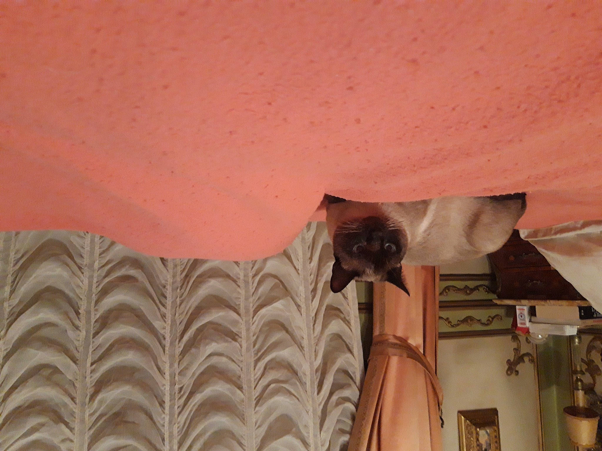 Totoro participe au concours pour gagner de l'argent avec cette photo : brown, ceiling, comfort, curtain, electrical_wiring, flesh, flooring, hardwood, human_leg, linens, pattern, peach, plaster, room, shade, thigh, tints_and_shades, wood