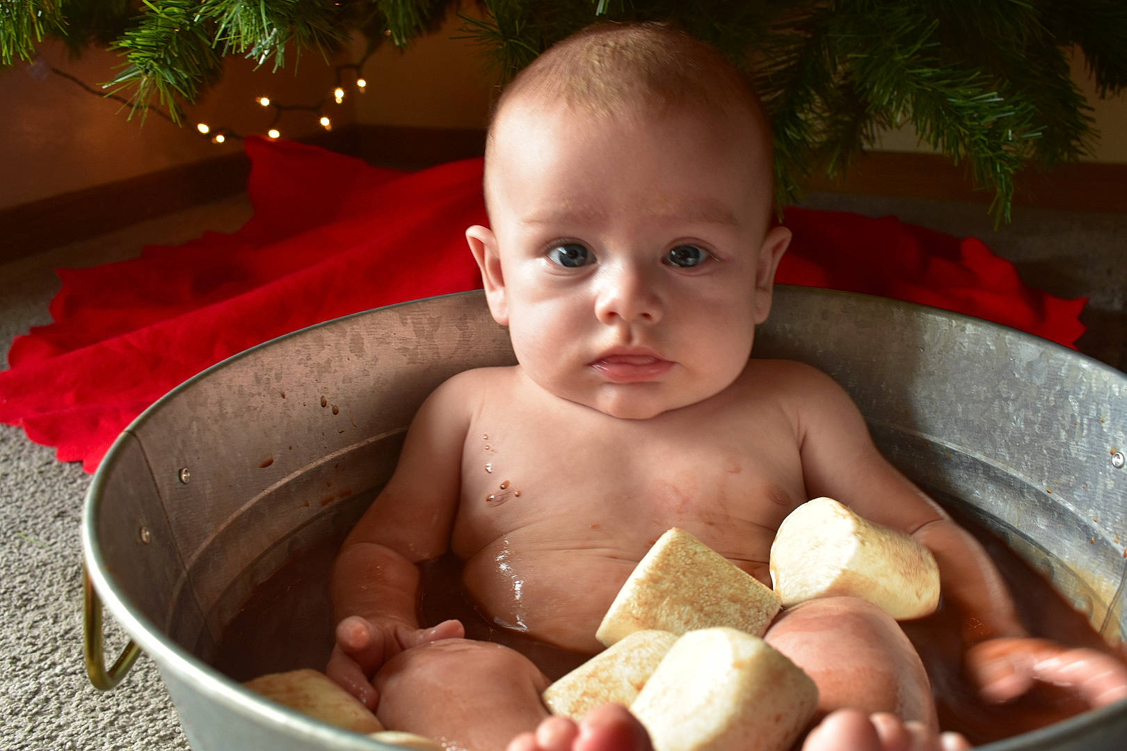 Evander is registered to the contest to win money with this photo: baby, baby_bathing, baby_products, bathing, cheek, chest, child, fun, happy, mouth, person, plant, sitting, skin, toddler, vacation