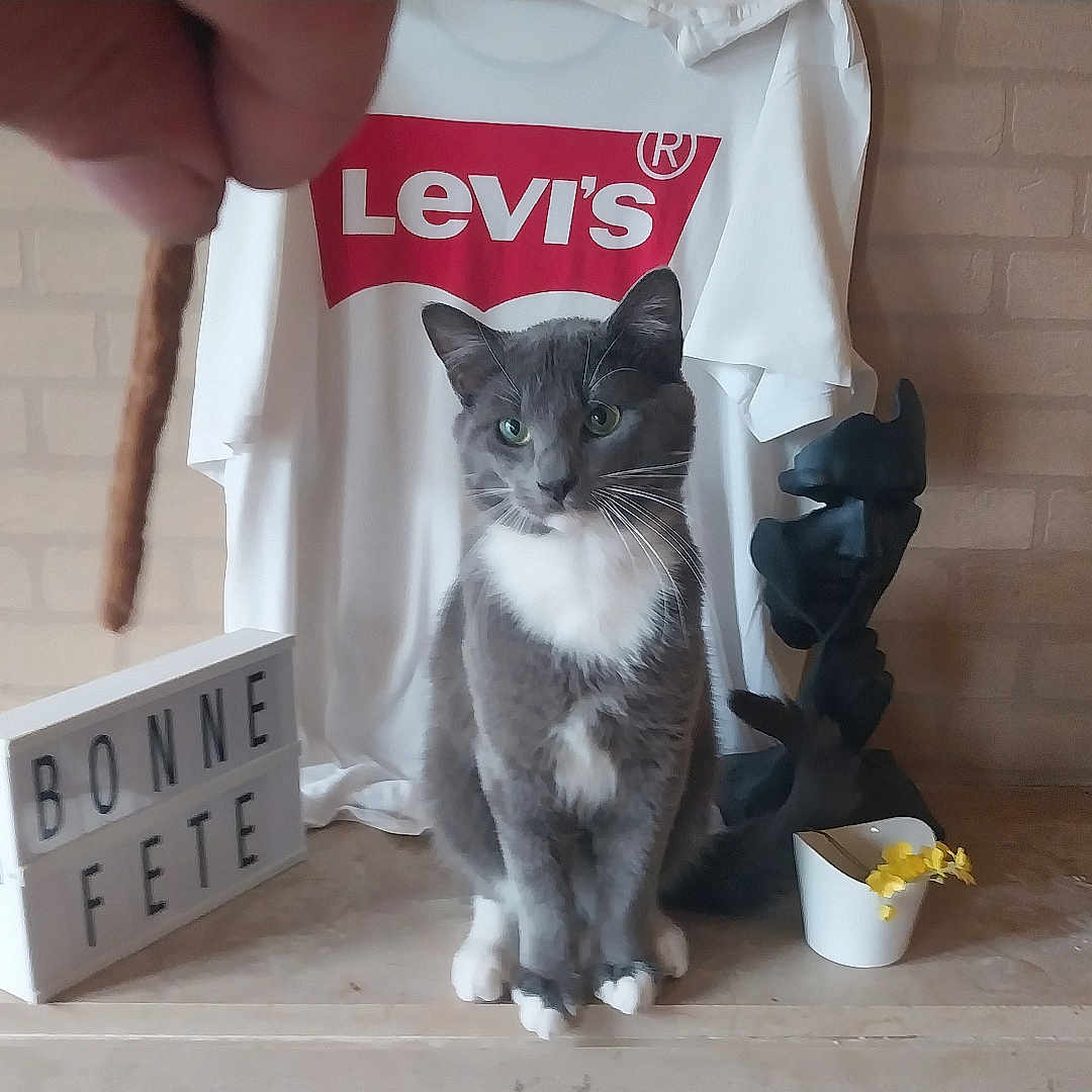 Levi'S