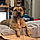 Pumba
