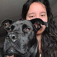 Atlas participe au concours pour gagner de l'argent avec cette photo : dog, black_dog, person, portrait, close_up, brown_eyes, long_hair, indoor, face, canine, pet, animal, companion, looking_away, calm, young_adult, black_hair, cute, indoors, friendship