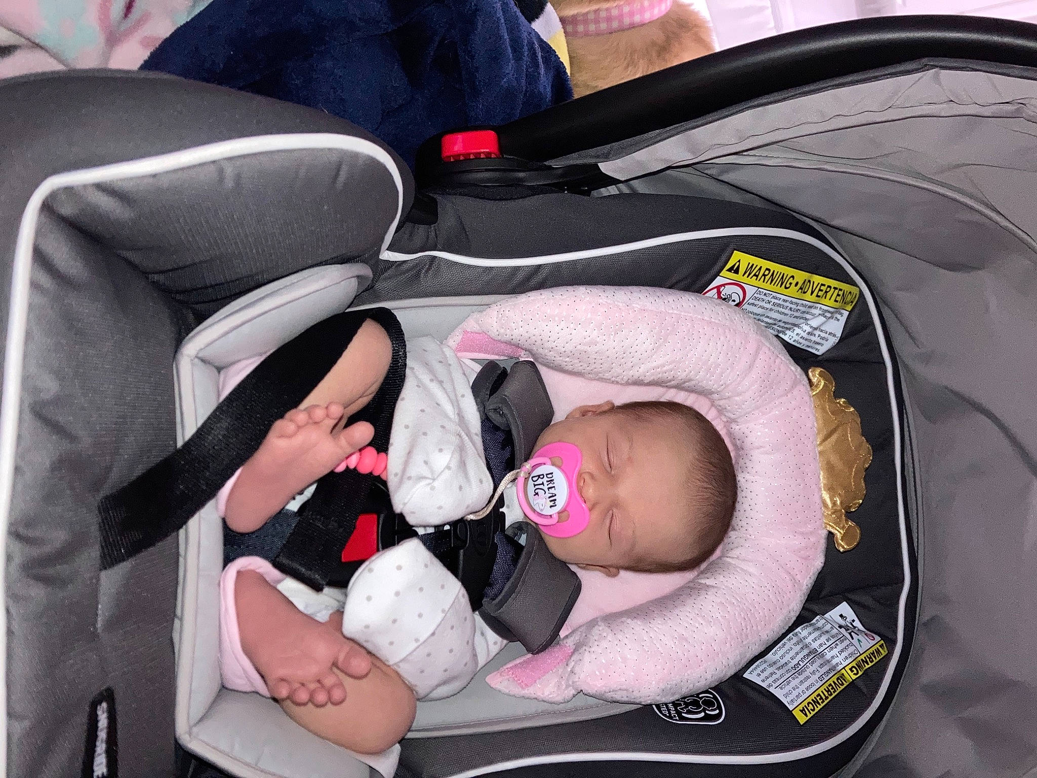 Delilah joined the competition — help win amazing prizes! auto_part, baby, baby_carriage, baby_in_car_seat, baby_products, baby_safety, baby_sleeping, baby_toddler_clothing, bag, car_seat, carmine, child, comfort, infant_bed, lap, nap, person, pink, product, sitting