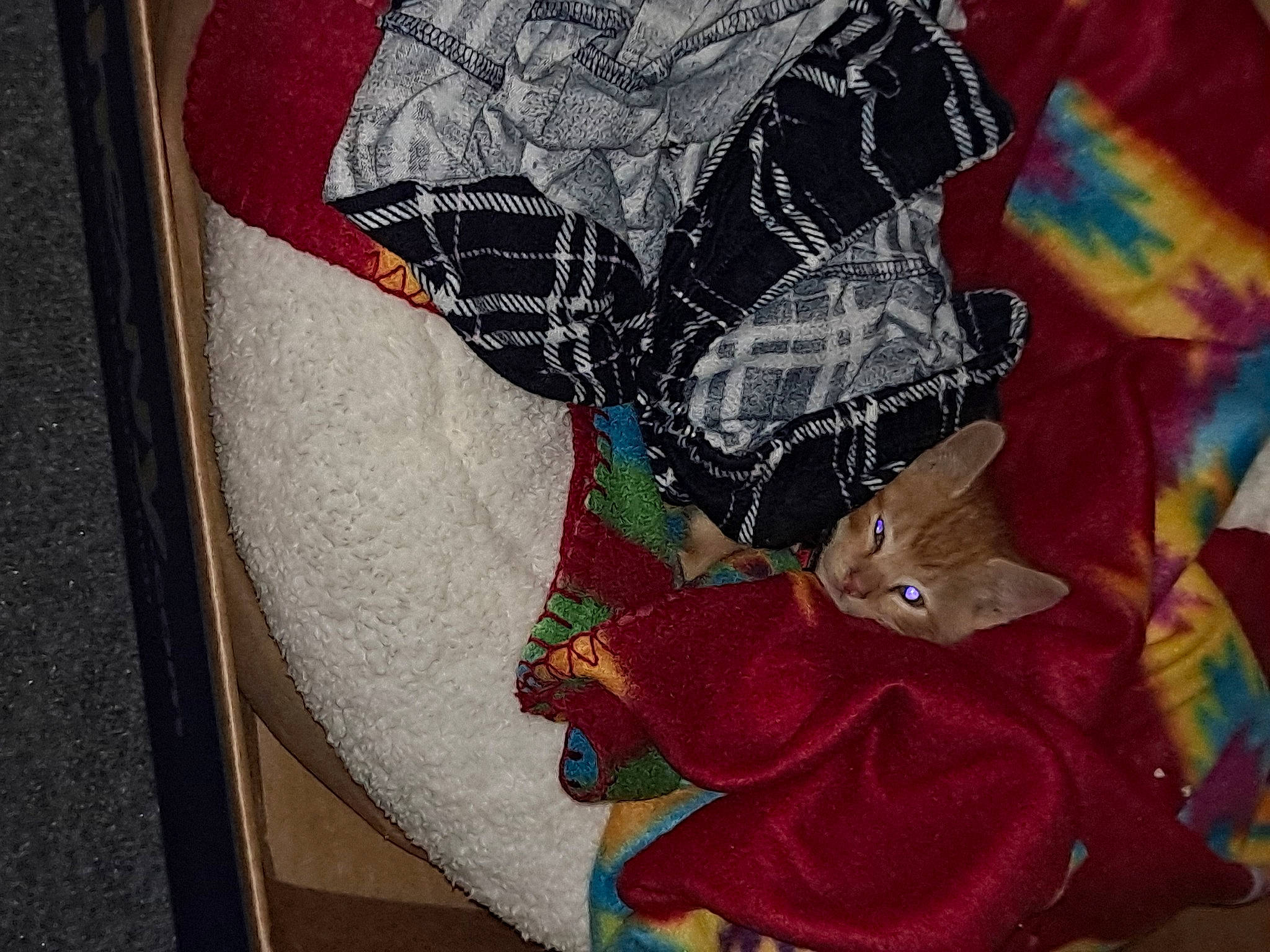 Cisco joined the competition — help win amazing prizes! art, baby_toddler_clothing, carmine, creative_arts, fashion_accessory, fictional_character, font, graphics, illustration, linens, magenta, paint, painting, pattern, plaid, sleeve, t_shirt, textile, tints_and_shades, visual_arts