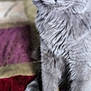 Princess joined the competition — help win amazing prizes! cat, gray_cat, yellow_eyes, fluffy, pet, feline, animal, close_up, indoor, quilt, blanket, soft_fur, sitting, curious, domestic_cat, cute, whiskers, portrait, mammal, cozy