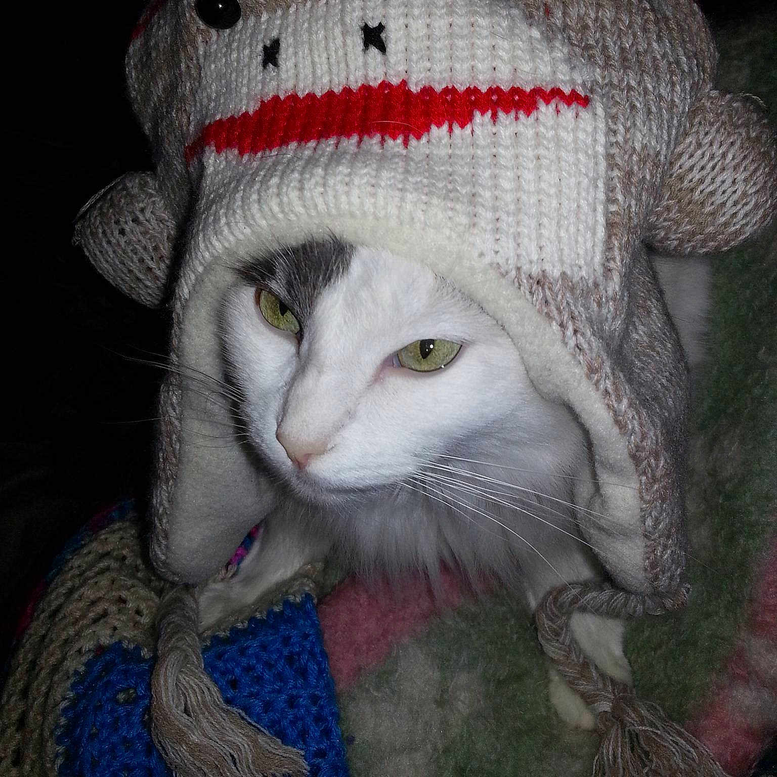 Bella is registered to the contest to win money with this photo: