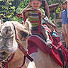 Carson joined the competition — help win amazing prizes! children, camel, outdoor, ride, animal, greenery, sunlight, people, happy, summer, nature, tourist, vacation, fun, boy, saddle, tree, leisure, daytime, casual
