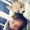 Harley Quinn is registered to the contest to win money with this photo: blanket, child, closed_eyes, comfort, cozy, cute, decoration, dog, face, fur, holiday, indoors, nap, pet, resting, sleeping, soft, together, warm, winter