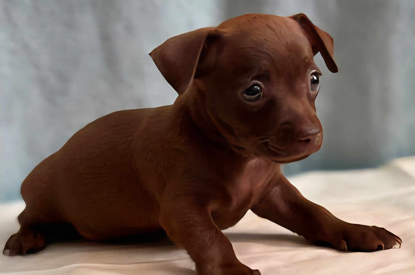 Coco