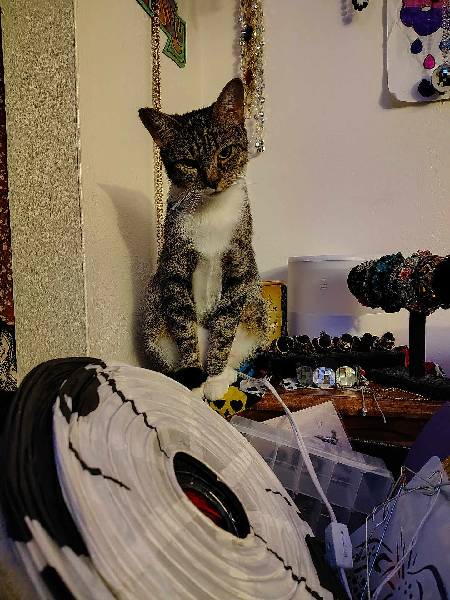 Mila