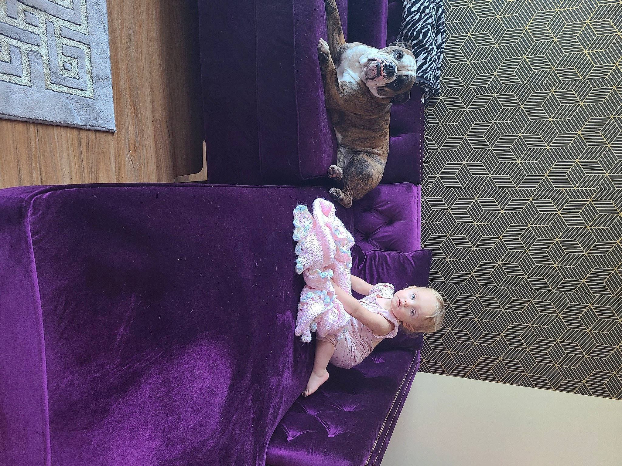 Lucha joined the competition — help win amazing prizes! doll, futon, interior_design, lavender, picture_frame, pillow, plush, purple, slipcover, sofa_bed, studio_couch, stuffed_toy, teddy_bear, throw_pillow, toy, velvet, violet