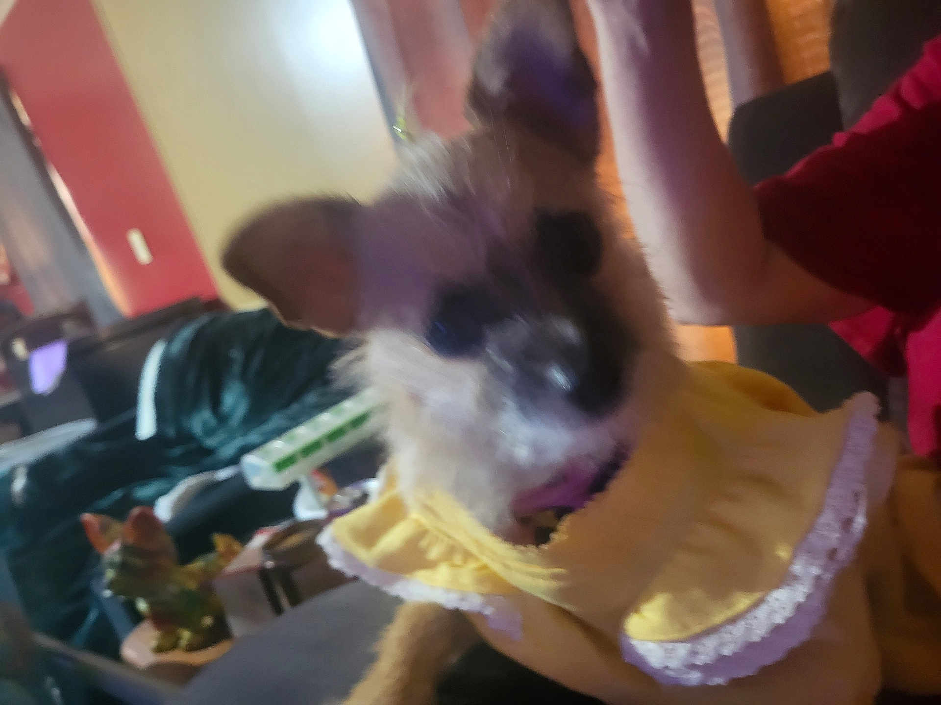 Bunbun