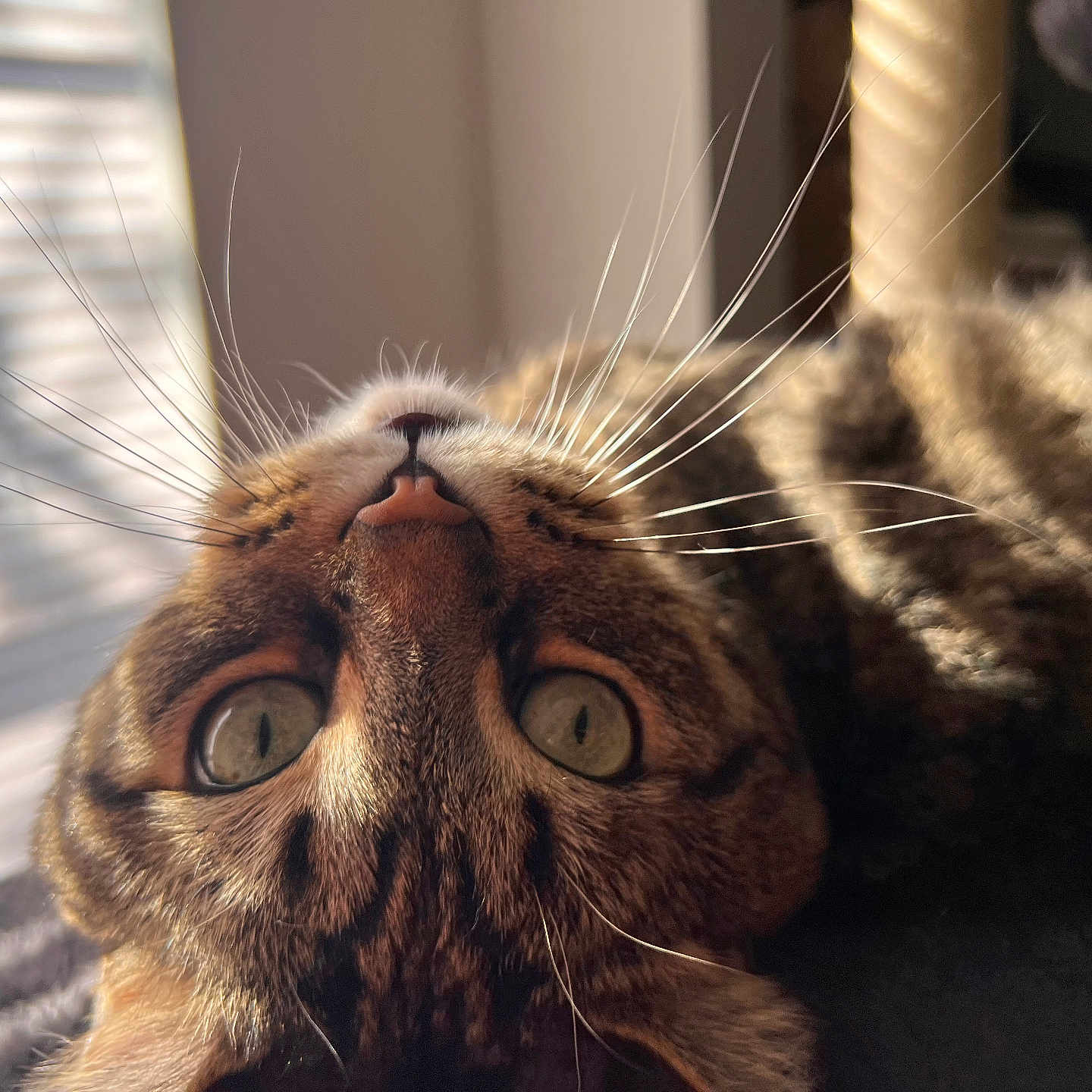 Pablo