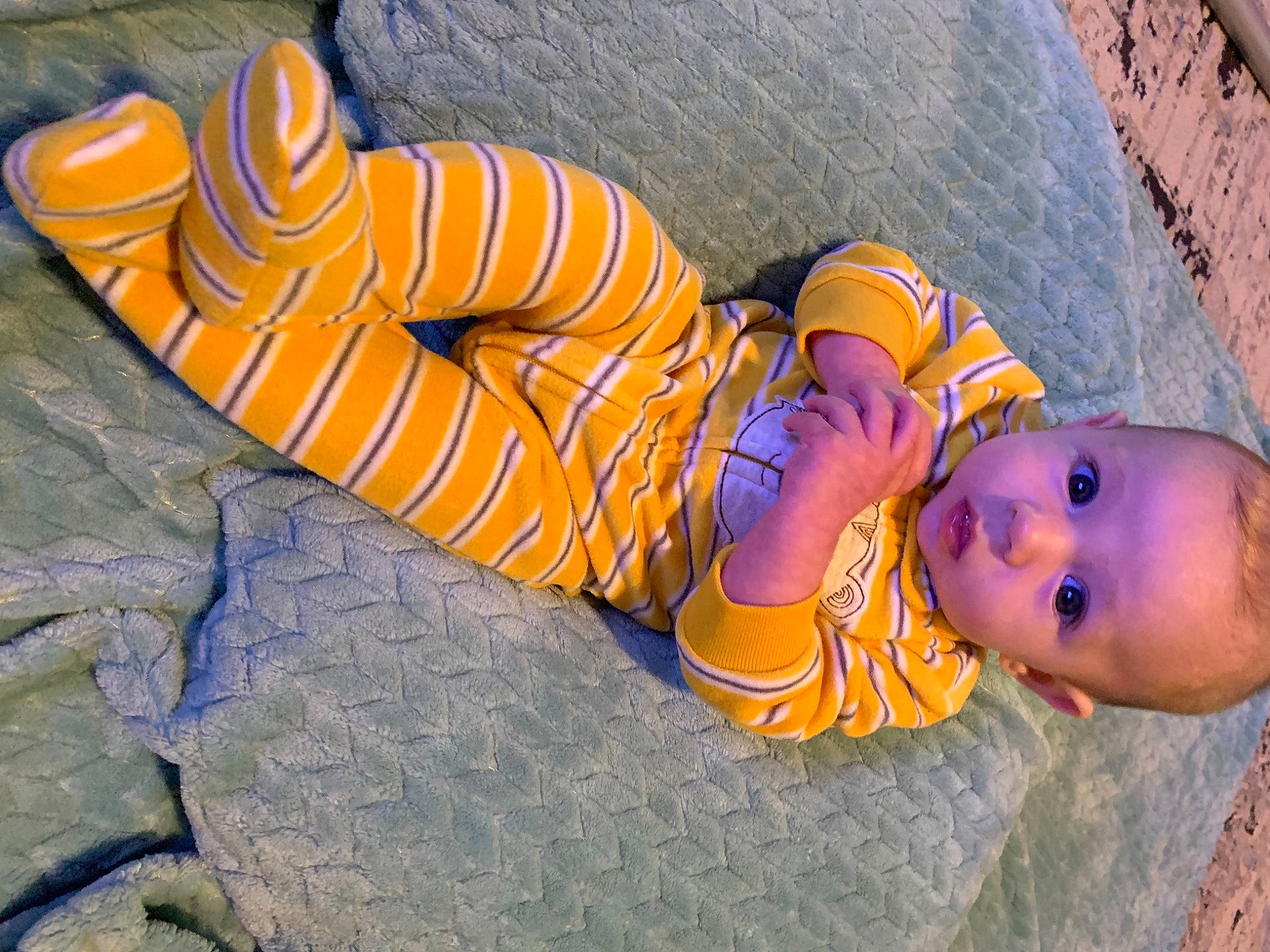 Layton joined the competition — help win amazing prizes! baby, child, flooring, fun, grass, headgear, human_leg, leisure, orange, pattern, people_in_nature, person, personal_protective_equipment, plant, play, shadow, sitting, toddler, toy, tree