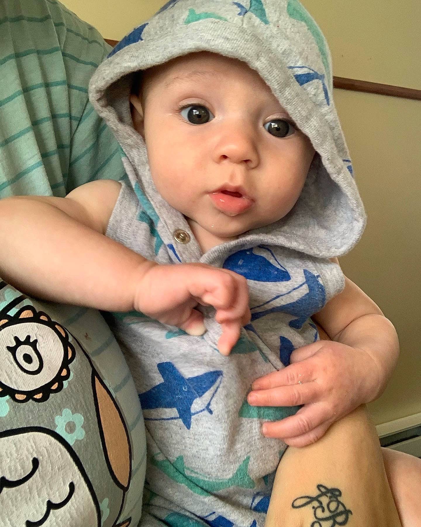 Layton joined the competition — help win amazing prizes! arm, azure, baby, baby_toddler_clothing, blue, cap, cheek, child, cool, elbow, eye, finger, headwear, iris, lip, organ, person, skin, sleeve, sun_hat