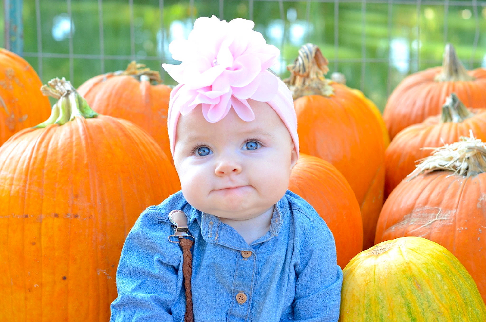 Raelyn joined the competition — help win amazing prizes! _and_melon_family, _gourd, calabaza, child, cucumber, cucurbita, food, fruit, gourd, local_food, natural_foods, orange, person, plant, produce, pumpkin, smile, squash, toddler, vegetable