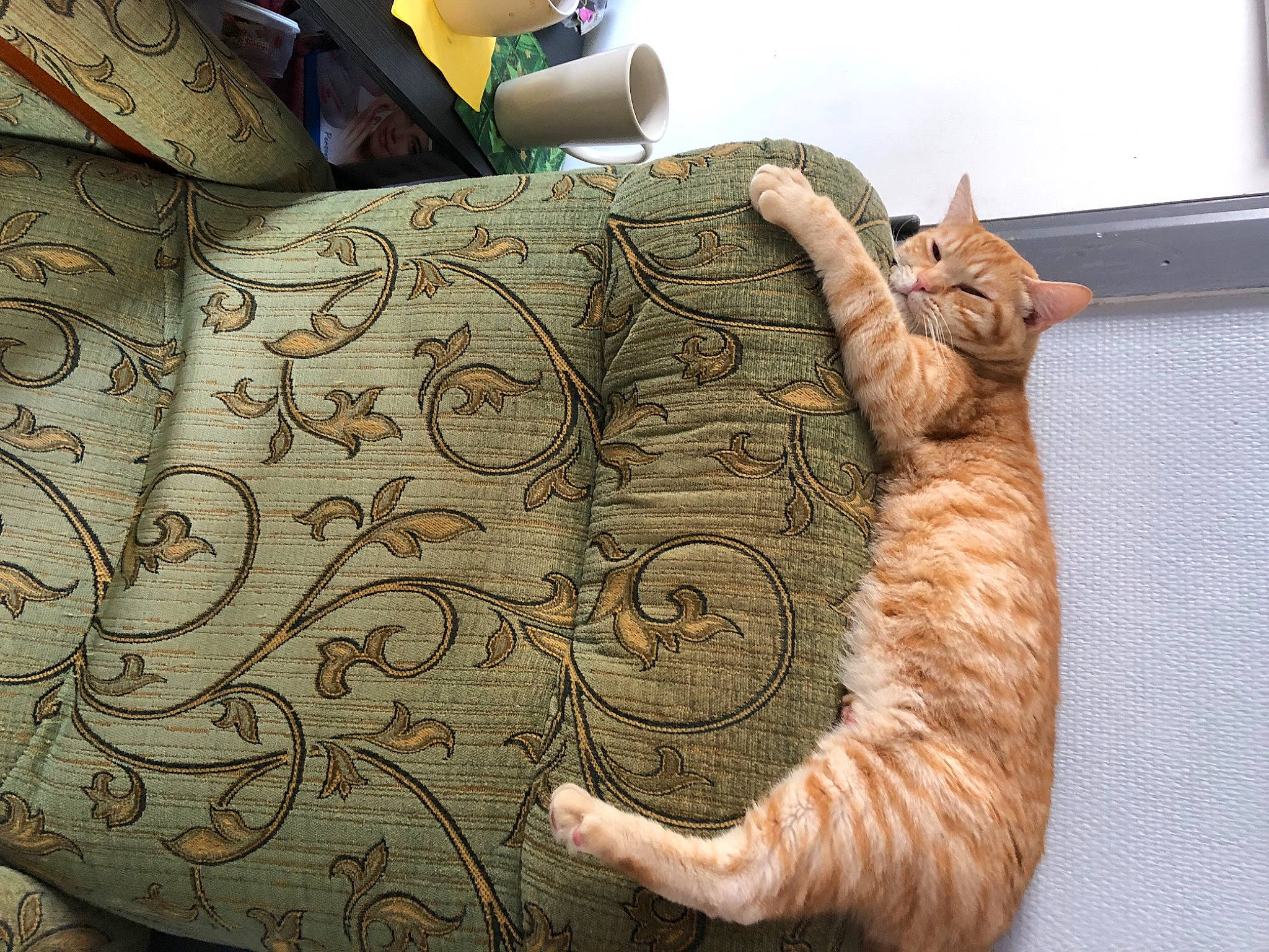 Garfield a rejoint le concours — aidez-le/la à gagner de superbes lots ! art, brown, carnivore, cat, claw, comfort, domestic_short_haired_cat, felidae, fur, linens, metal, pattern, paw, small_to_medium_sized_cats, tail, terrestrial_animal, textile, visual_arts, whiskers, wood