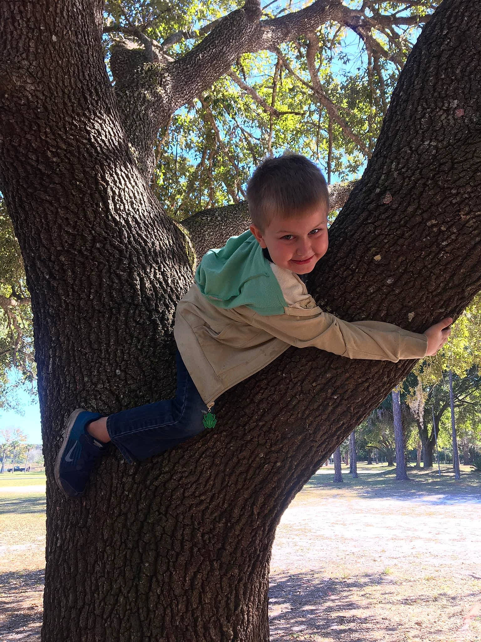 Eugene is registered to the contest to win money with this photo: botany, branch, child, deciduous, forest, fun, grass, happy, joy, leg, leisure, people_in_nature, person, plant, sitting, tints_and_shades, tree, trunk, twig, wood