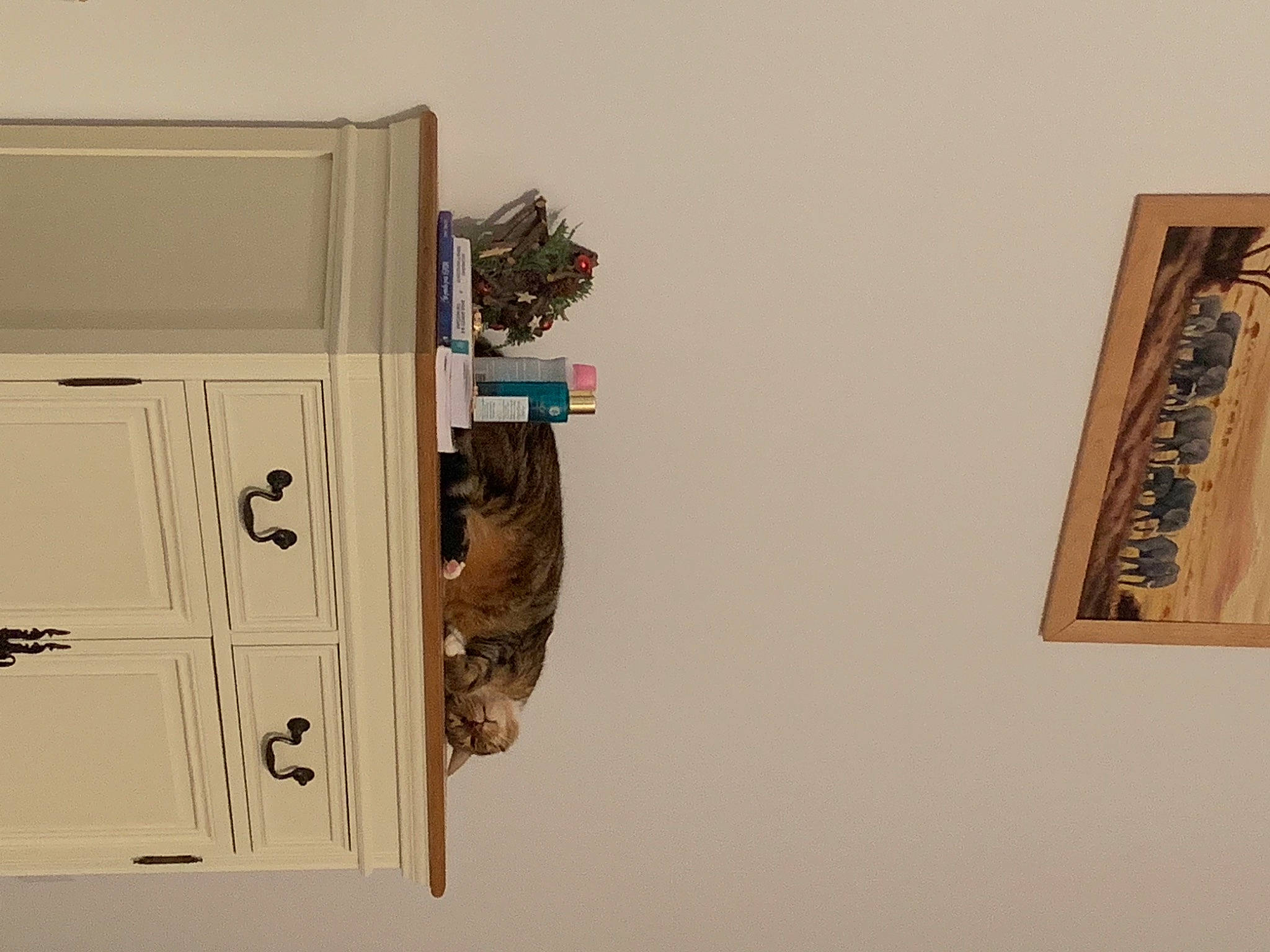 Pompon participe au concours pour gagner de l'argent avec cette photo : art, cabinetry, cupboard, door, door_handle, electrical_supply, electrical_wiring, event, font, hardwood, home_door, machine, molding, paper, paper_product, plywood, rectangle, room, visual_arts, wood