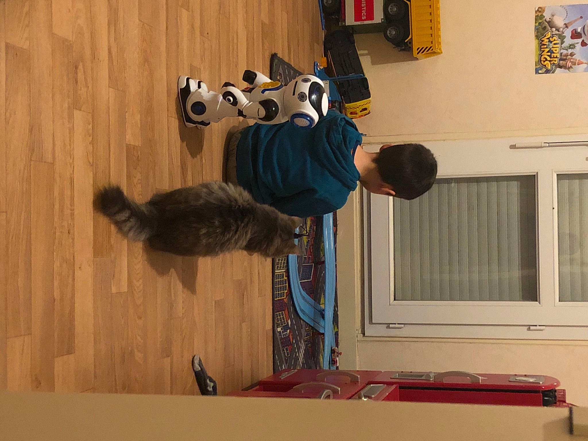 Silver a rejoint le concours — aidez-le/la à gagner de superbes lots ! display_device, floor, flooring, fur, hardwood, house, interior_design, laminate_flooring, picture_frame, plywood, room, tail, toddler, visual_arts, window, wood, wood_flooring, wood_stain