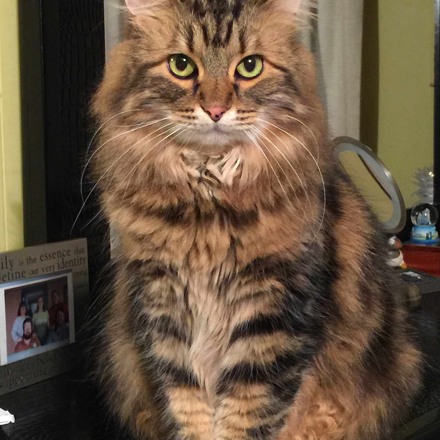 Tinka