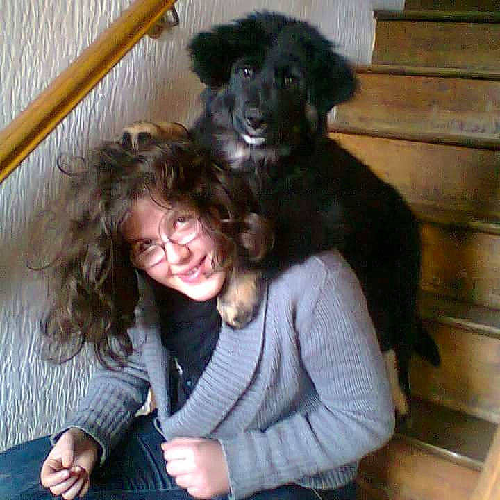 Hannakin participe au concours pour gagner de l'argent avec cette photo : borador, carnivoran, companion_dog, dog, dog_breed, dog_breed_group, dog_like_mammal, flat_coated_retriever, joy, newfoundland, person, puppy, rare_breed_dog, sporting_group