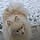 Pascha
