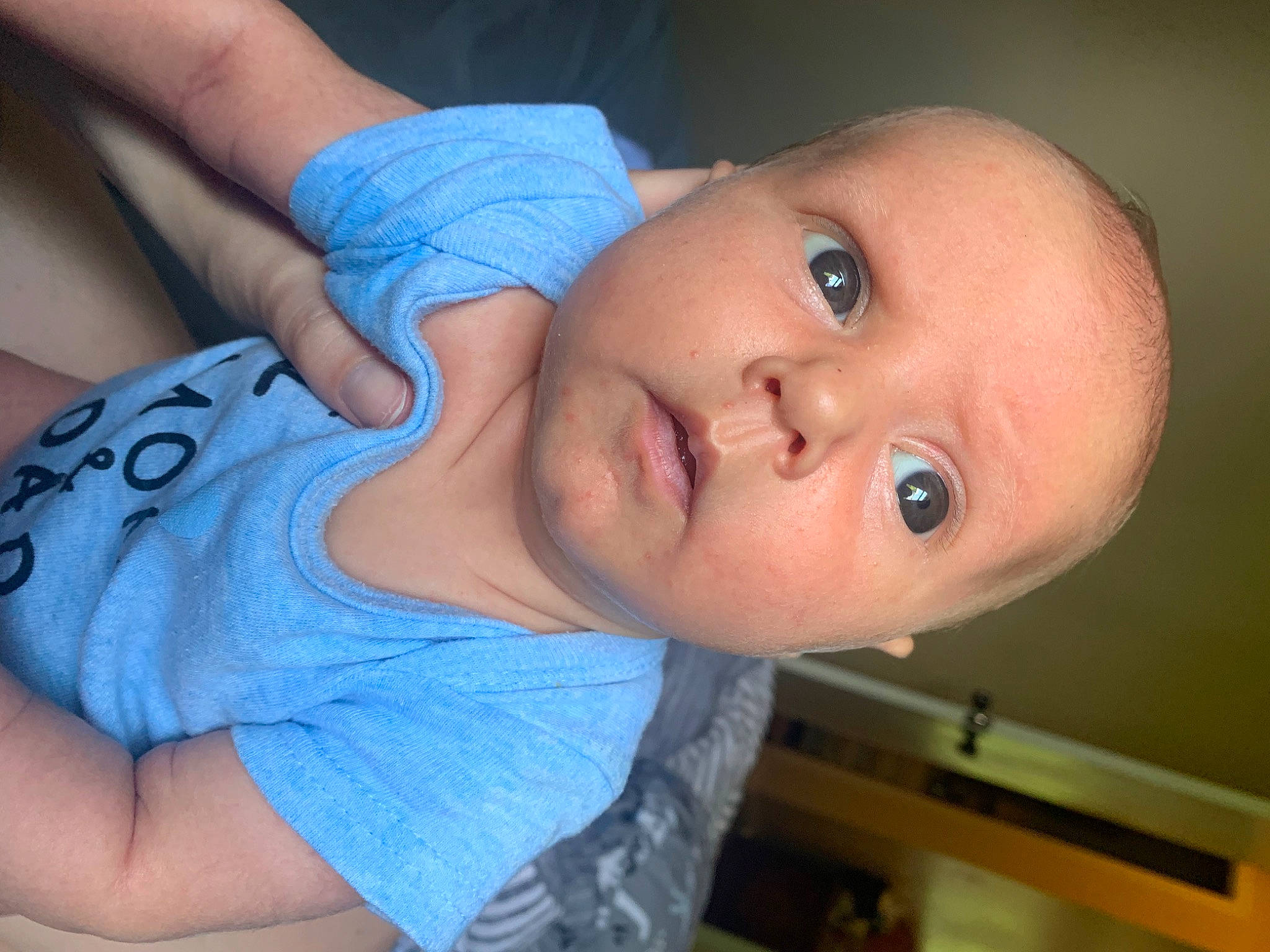 Bear is registered to the contest to win money with this photo: arm, cheek, chin, ear, eye, eyebrow, eyelash, facial_expression, forehead, gesture, hair, hairstyle, iris, joint, lip, mouth, neck, nose, person, shoulder