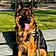 Zuse
