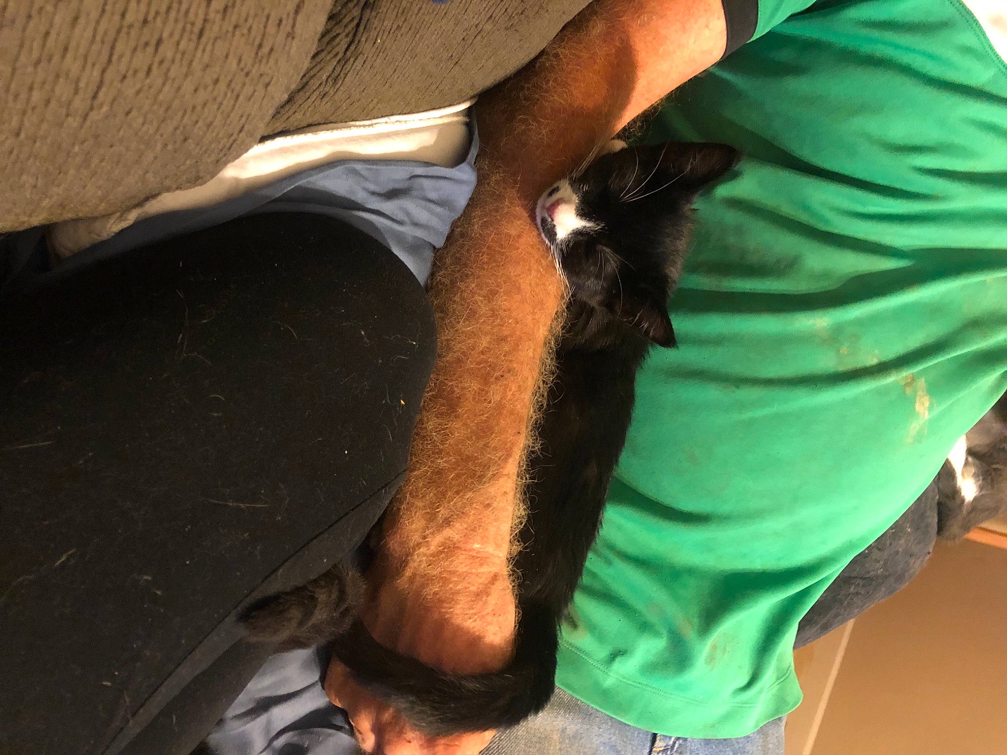 Larry is registered to the contest to win money with this photo: abdomen, back, calf, chest, comfort, denim, elbow, human_leg, joint, knee, neck, sitting, sleeve, sportswear, t_shirt, thigh, trunk, waist, wood, wrist