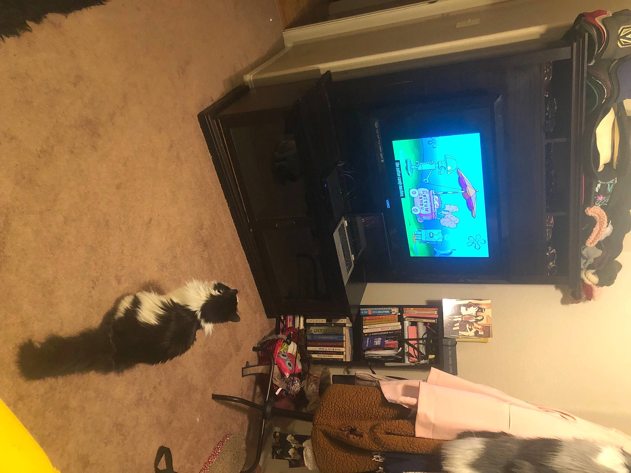 Reiyka is registered to the contest to win money with this photo: audio_equipment, comfort, computer_hardware, computer_monitor_accessory, couch, display_device, entertainment, entertainment_center, felidae, flat_panel_display, gadget, hardwood, lcd_tv, machine, multimedia, personal_computer_hardware, room, shelf, television, television_set