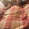 baby, sleeping, blanket, plaid, bed, cozy, infant, child, soft_light, peaceful, clothing, toddler, resting, cute, indoor, portrait, head, arm, legs, comfort