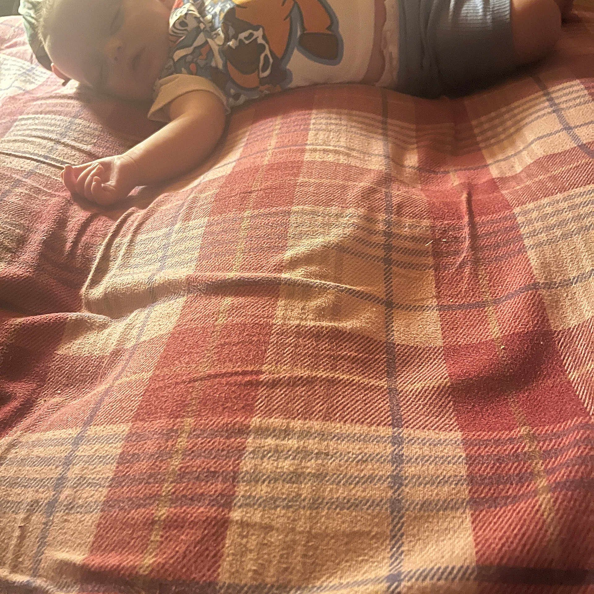 Gattlin is registered to the contest to win money with this photo: baby, sleeping, blanket, plaid, bed, cozy, infant, child, soft_light, peaceful, clothing, toddler, resting, cute, indoor, portrait, head, arm, legs, comfort