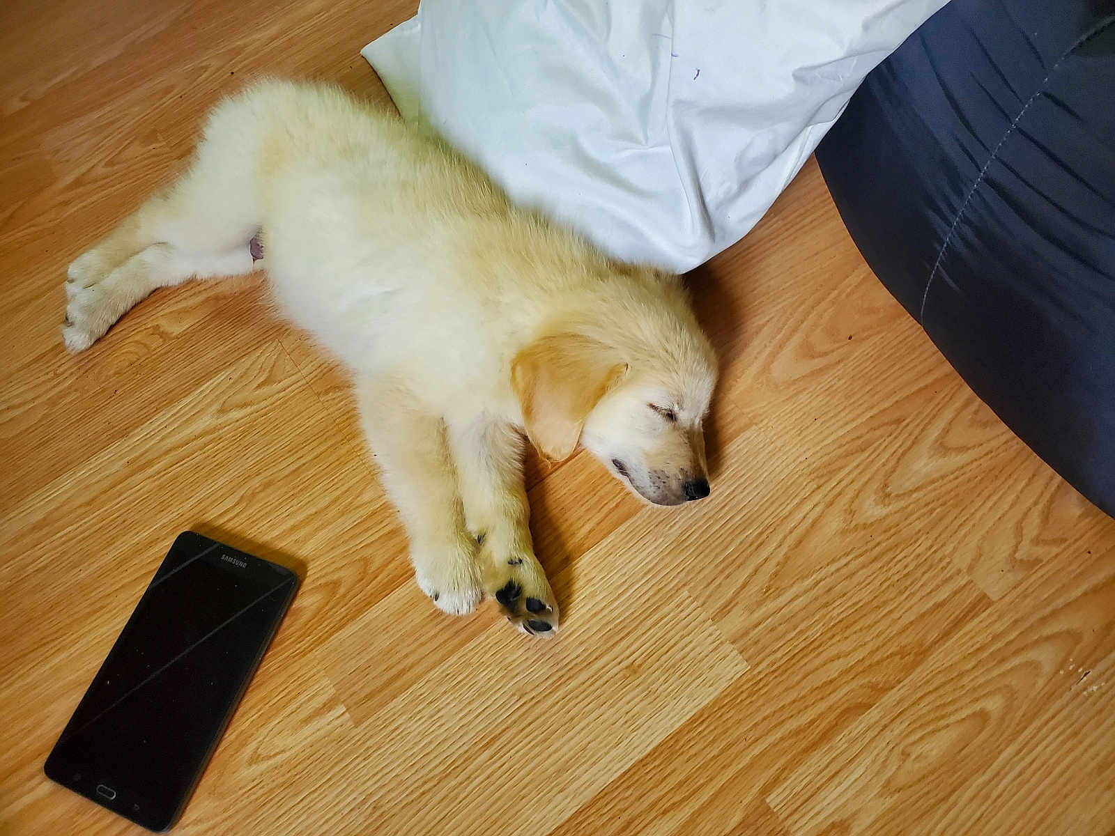 Duke