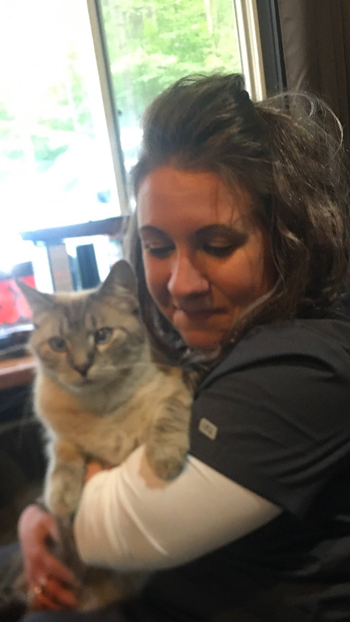 Caesar is registered to the contest to win money with this photo: brown_hair, canidae, carnivore, cat, comfort, companion_dog, domestic_short_haired_cat, fawn, felidae, fur, gesture, happy, hug, paw, sitting, small_to_medium_sized_cats, smile, snout, whiskers, window