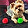 Mops