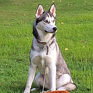 Sadie joined the competition — help win amazing prizes!