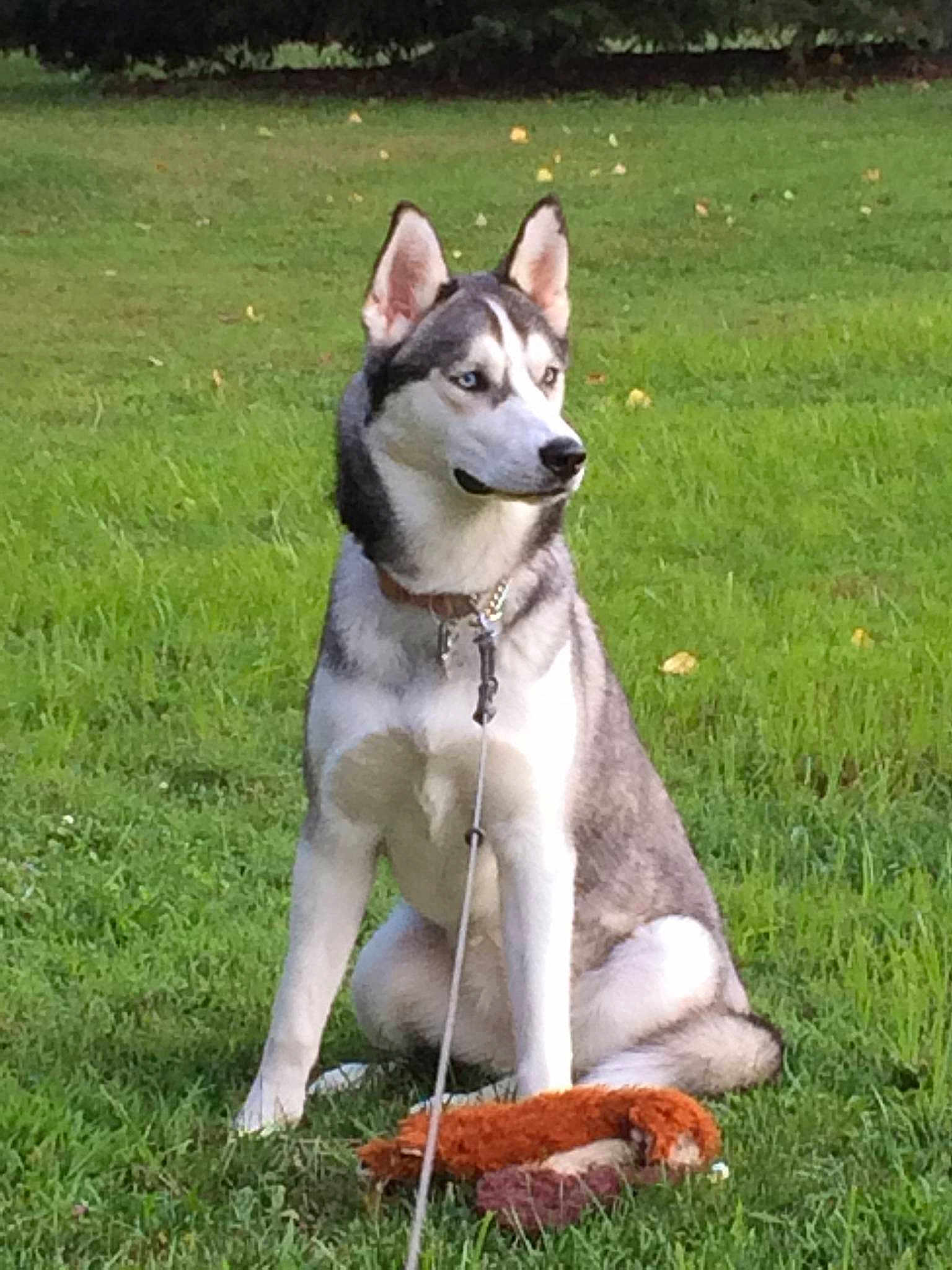 Sadie joined the competition — help win amazing prizes!