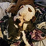 Maggie is registered to the contest to win money with this photo: dog, cat, blanket, bed, person, hand, can, camo_shorts, green_shirt, floor_tile, resting, snuggling, indoor, pet, animal, cozy, furry, sleeping, paw, tattoo