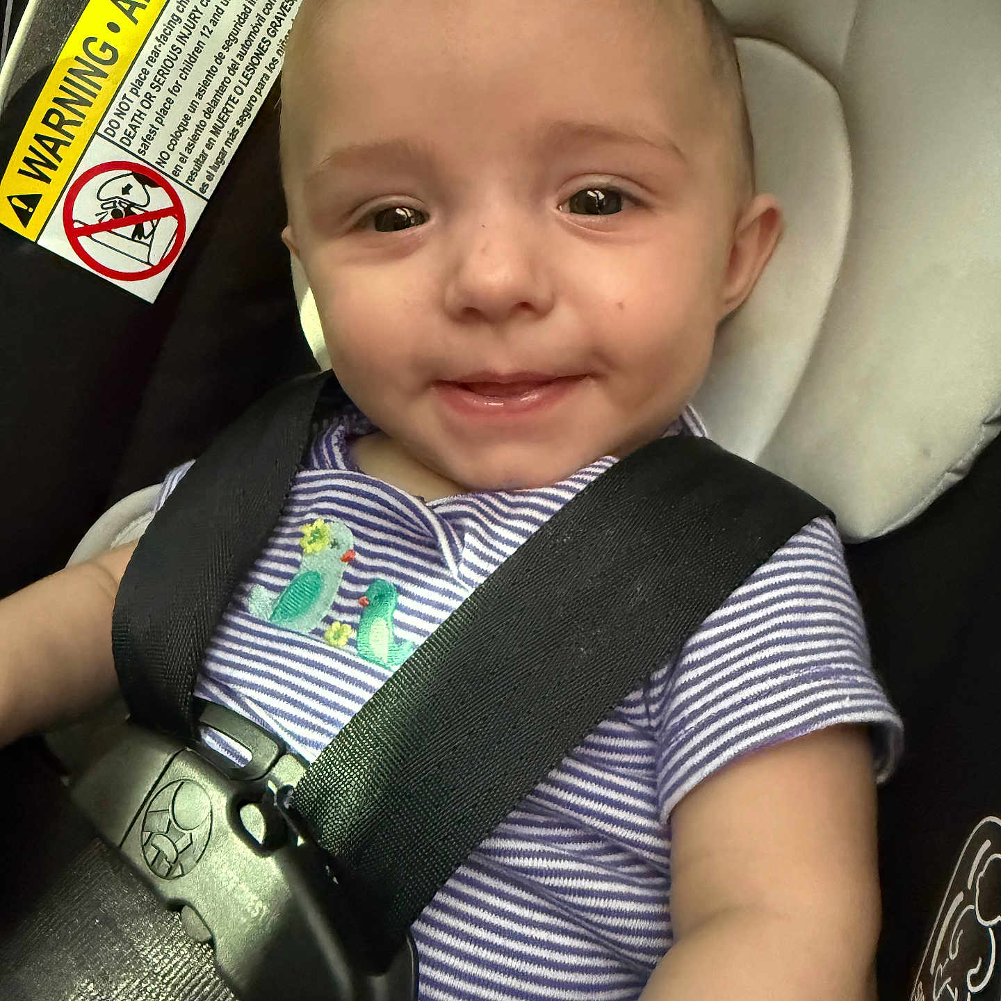Cambrie joined the competition — help win amazing prizes! baby, baby_clothing, car, car_seat, child, child_safety, closeup, cute, embroidery, face, happy, indoors, infant, person, safety_harness, seat, seatbelt, smile, striped_shirt, young_child