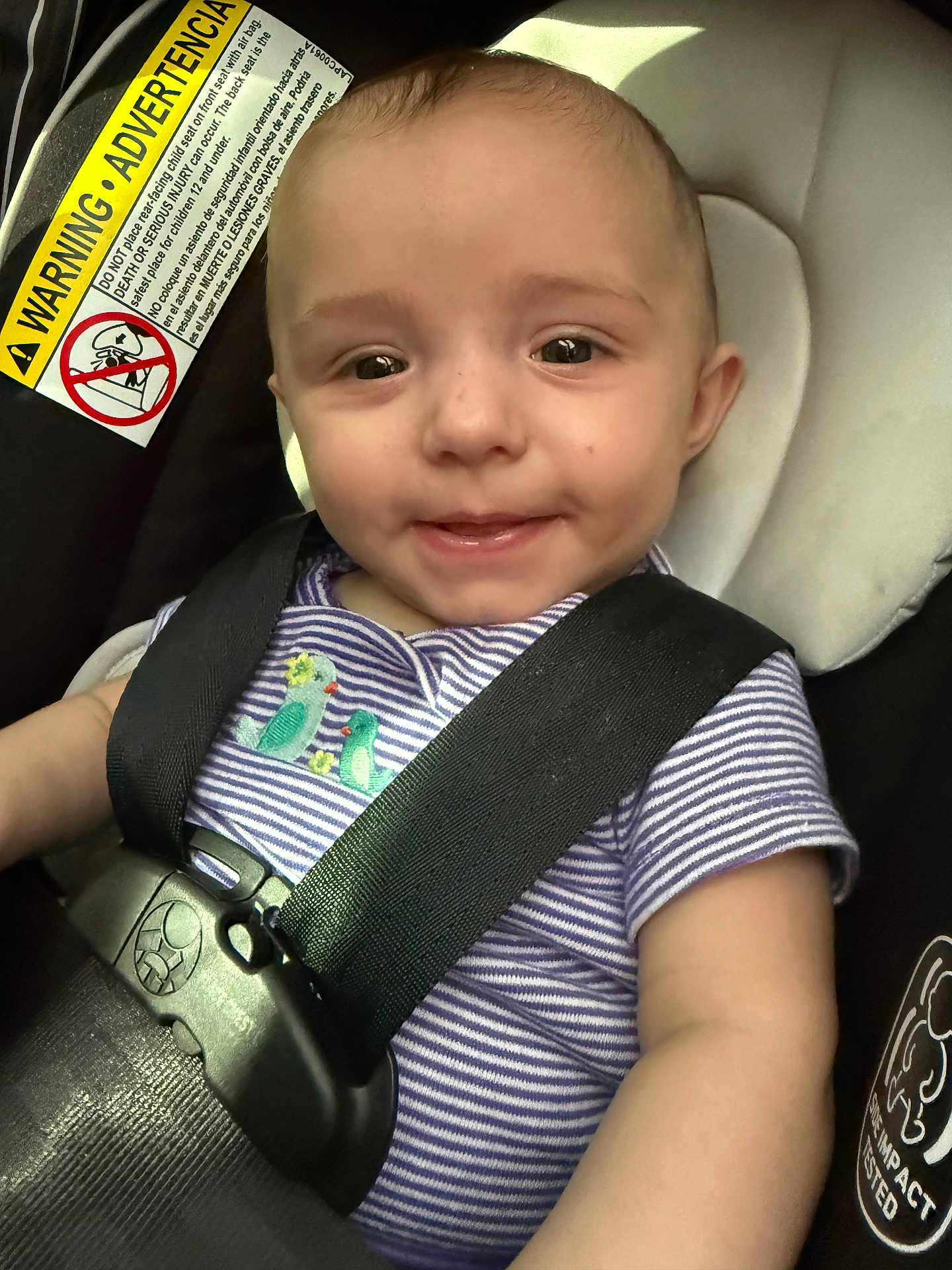 Cambrie joined the competition — help win amazing prizes! baby, child, car_seat, safety_harness, smile, face, infant, striped_shirt, embroidery, seatbelt, cute, happy, closeup, indoors, person, young_child, seat, car, child_safety, baby_clothing