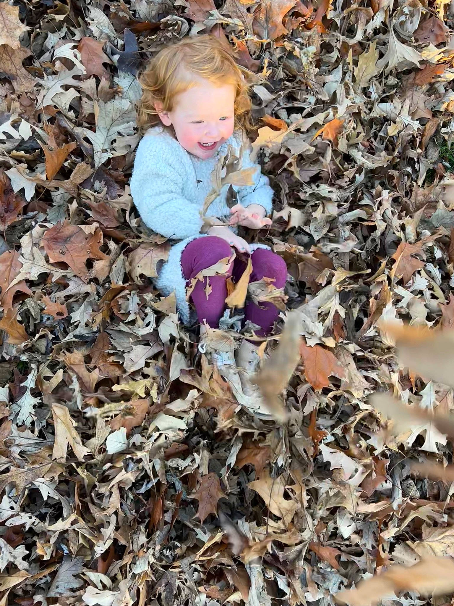 Tayah joined the competition — help win amazing prizes! autumn, baby, baby_toddler_clothing, beauty, child, deciduous, fun, grass, happy, leaf, nature, people, people_in_nature, person, plant, plastic, soil, spring, toddler, waste